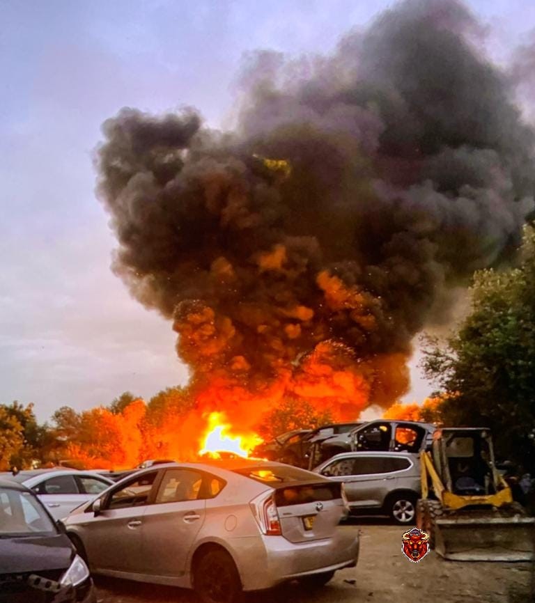 WhatsApp Image 2024-01-10 at 17.14.59.jpeg